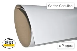 Carton Cartulina X 2 Und