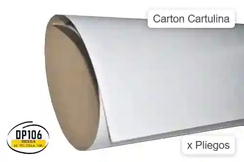 Carton Cartulina X 2 Und