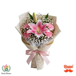 Mini Jardín Rosa