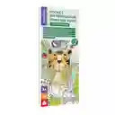 Libro Didáctico Para Colorear Amigos Animales Para Niños