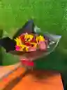 Energía Radiante