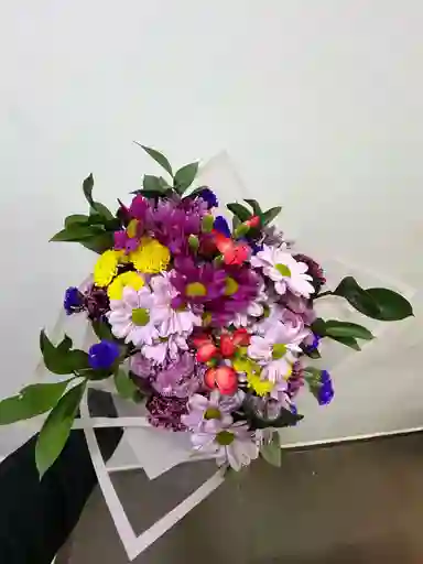 Primavera Encantada