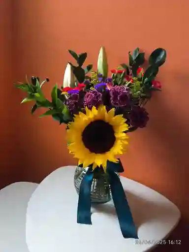 Raíces De Sol