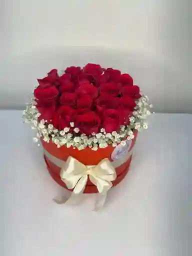 Rosa En Cilindro