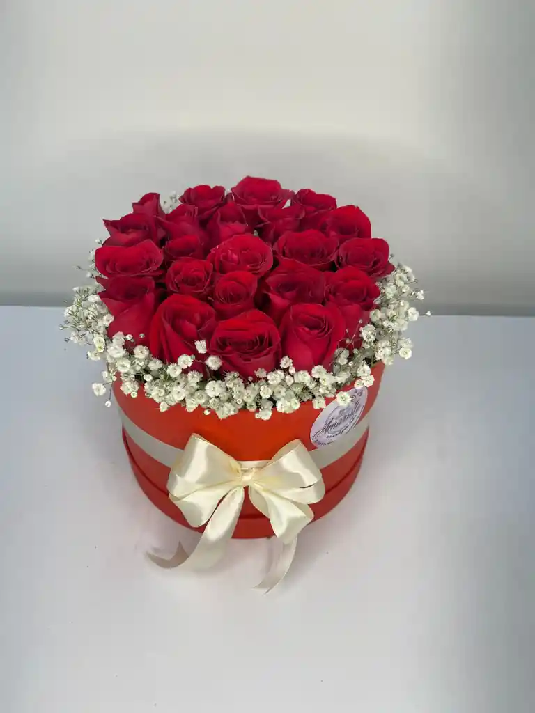 Rosa En Cilindro