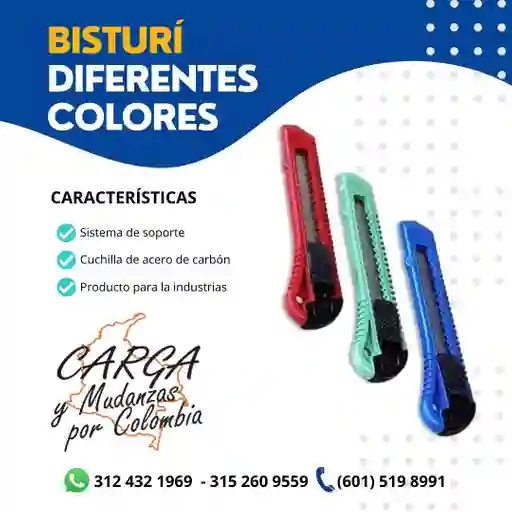 Bistury