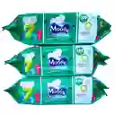Toallitas Húmedas Moody