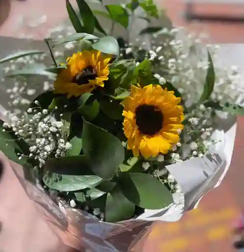 Girasol Espectáculo