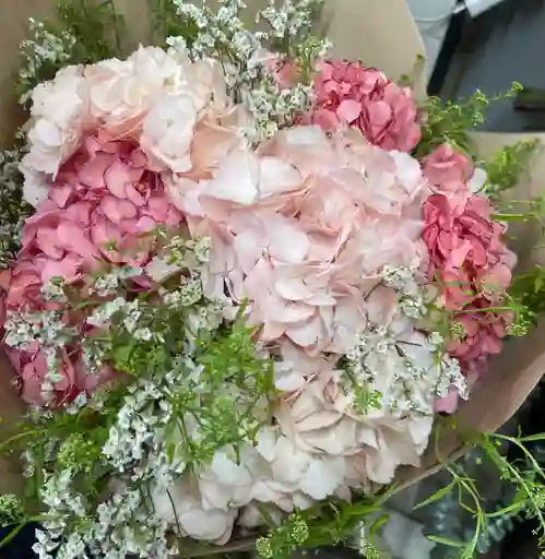 Bouquet De Hortensias Lindo Color
