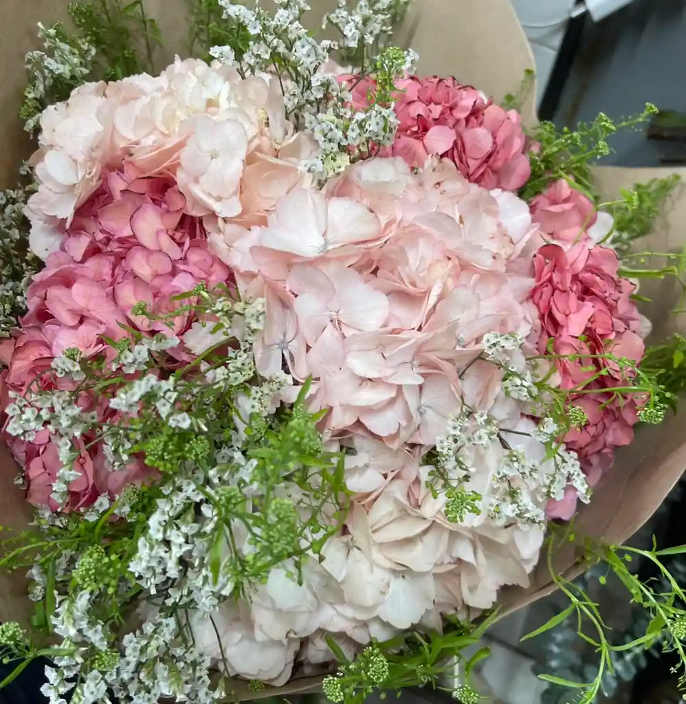 Bouquet De Hortensias Lindo Color
