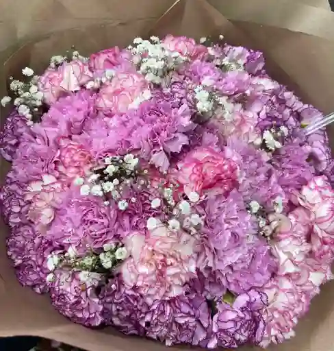Claveles Rosados Dulce Color