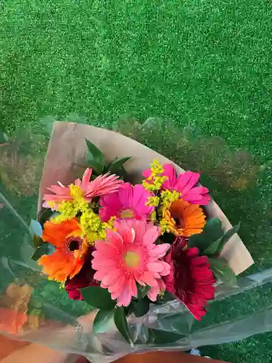 Ramo Arcoíris De Gerberas