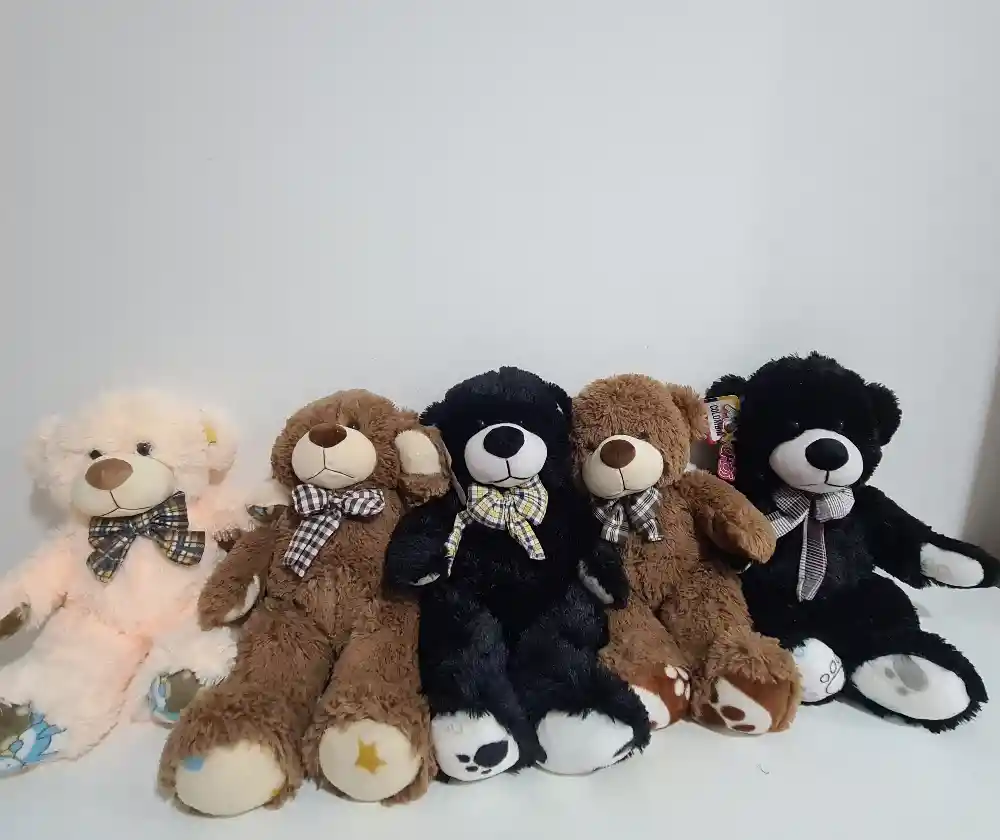 Oso Peluche 35 Cm