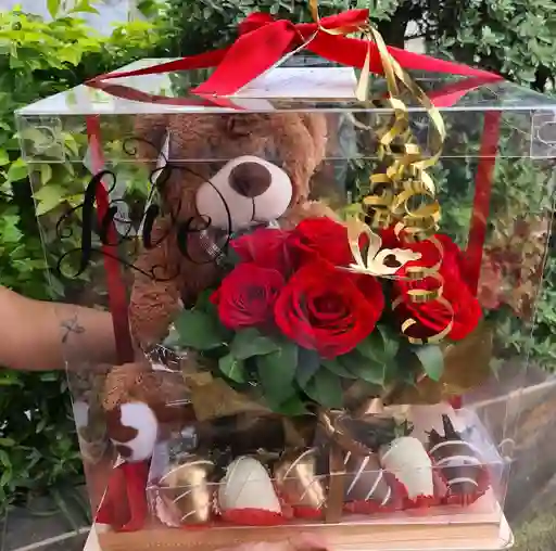 Oso En Caja Con Rosas Y Fresas Con Chocolate