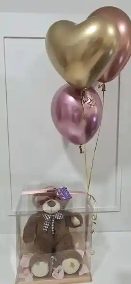 Oso En Caja Acetato Y 3 Globos De Latex