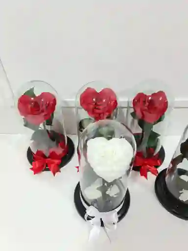 Rosa Corazón Preservada Tipo Jumbo
