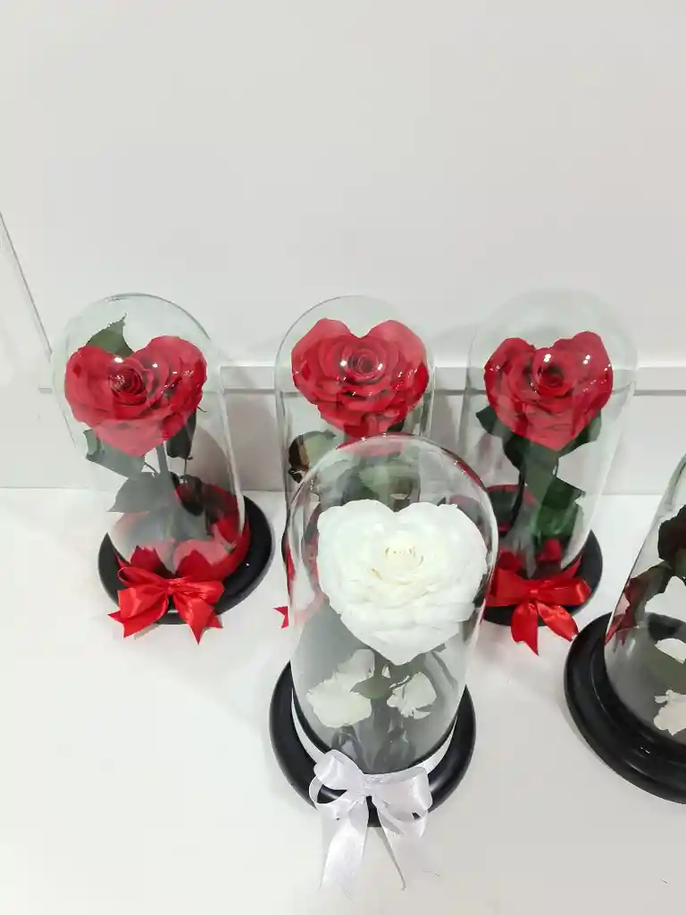 Rosa Corazón Preservada Tipo Jumbo