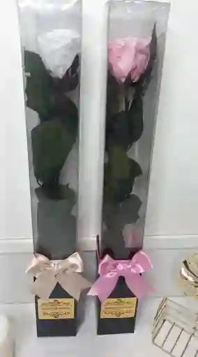 Rosa Premium Eterna O Preservada En Caja De Regalo Acetato