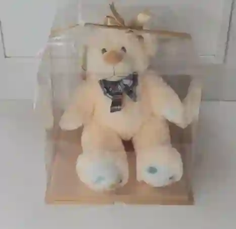 Oso En Caja Acetato