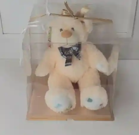 Oso En Caja Acetato