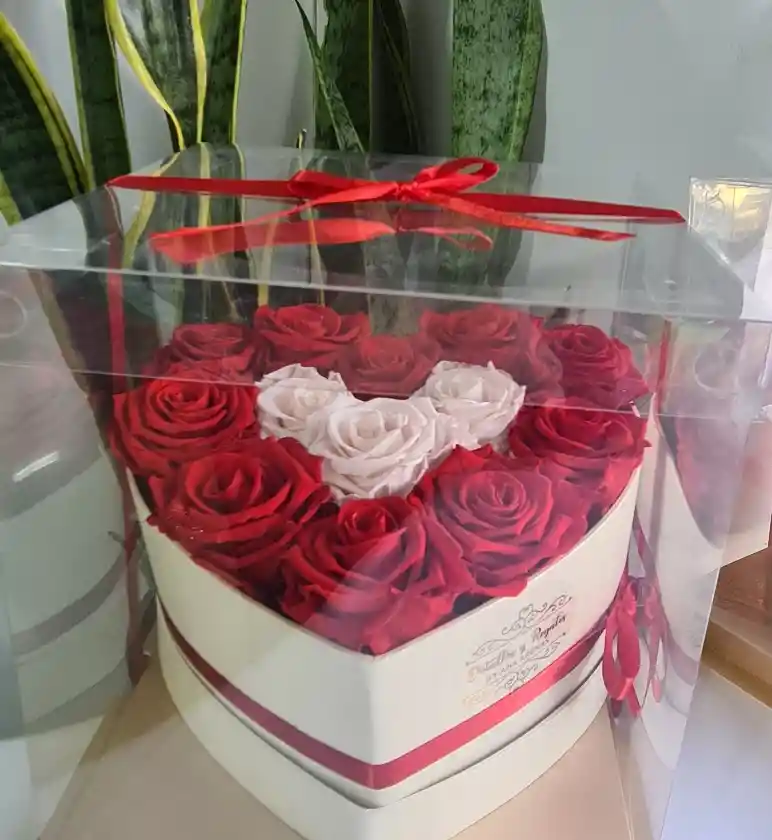 Regalo Caja Corazón Con Rosa Eterna (preservada) En Caja Acetato - Color De Rosa A Disponibilidad