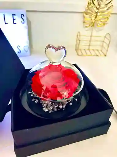 Rosa Preservada Luxury En Caja