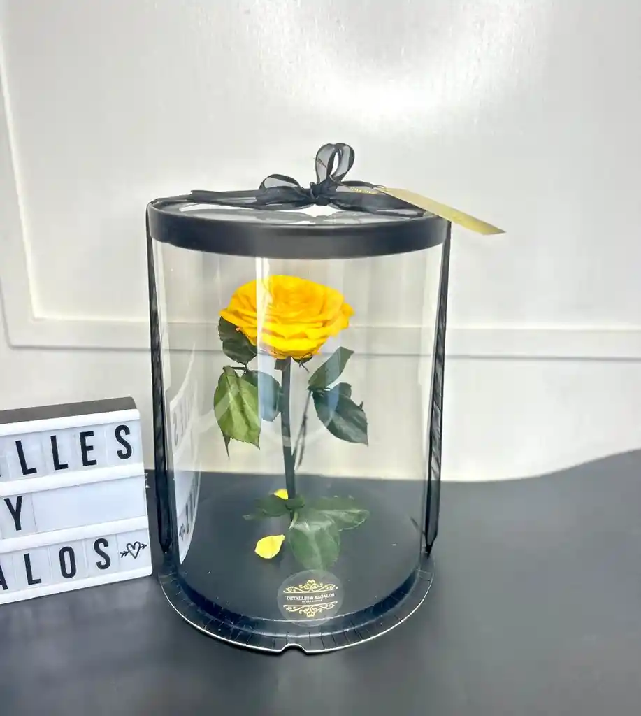 Rosa Preservada Premium En Caja De Acetato