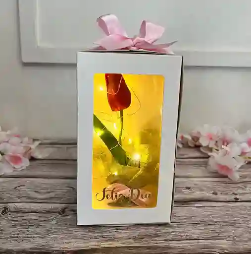 Caja De Luz Con Tulipan Eterno