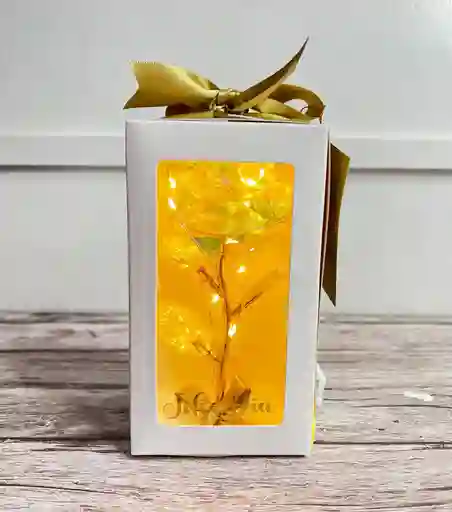 Caja De Luz Con Rosa Eterna Tornasol