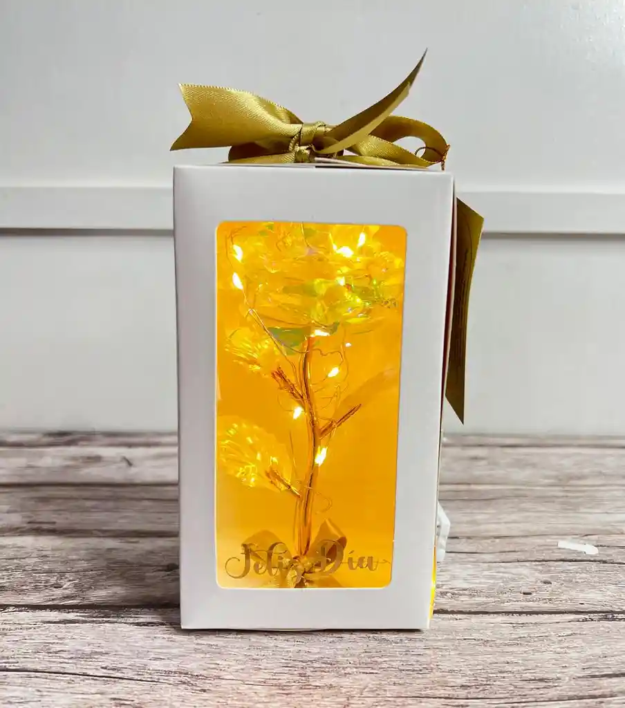 Caja De Luz Con Rosa Eterna Tornasol