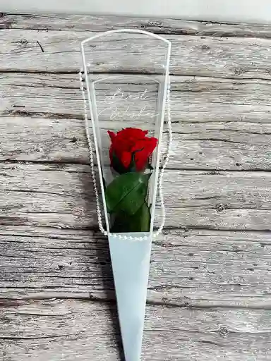 Solitario Cono De Acetato Con Rosa Preservada