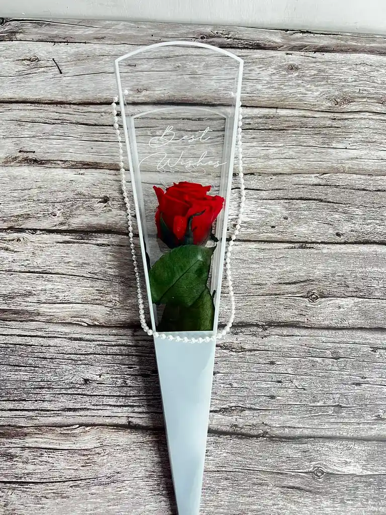 Solitario Cono De Acetato Con Rosa Preservada