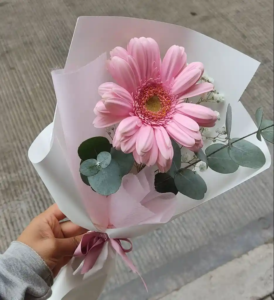 Solitario Gerbera