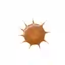 Gotas Bronceadoras Essence Drop Of Sunshine 25ml