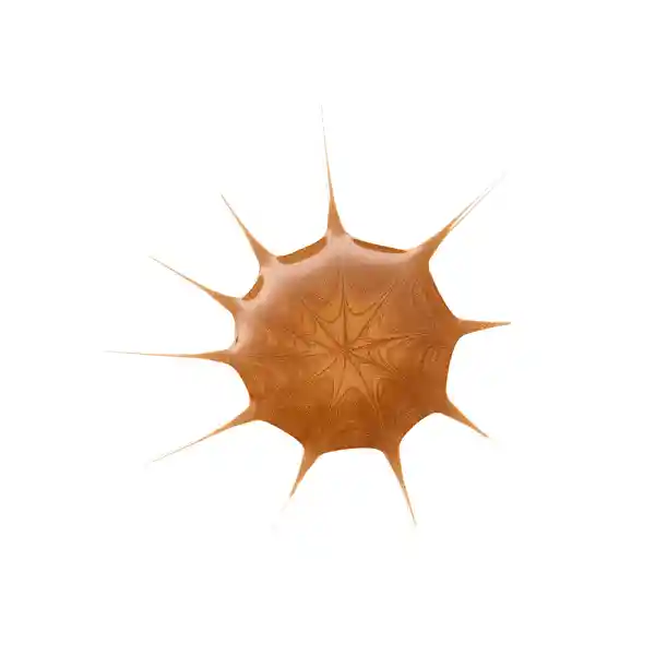 Gotas Bronceadoras Essence Drop Of Sunshine 25ml