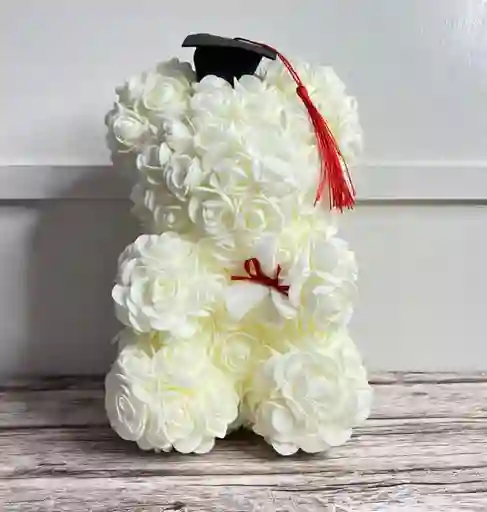 Oso Teddy De Graduación