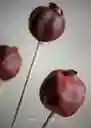 Postales De Regalo "pistilo Gracia"
