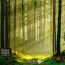 Juego De Mesa Selva Negra