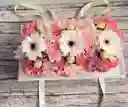 Cofre De Lujo Con Gerberas, Claveles, Rosas Y Chocolates Ferreros Rocher