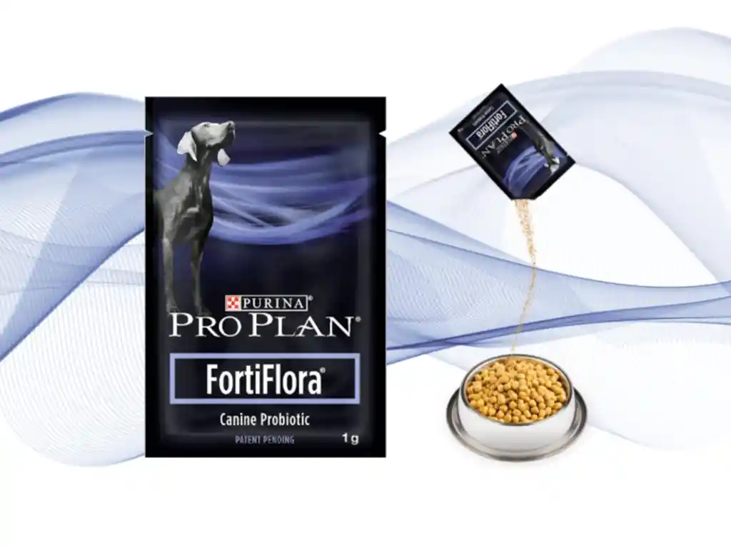 Fortiflora X Sobre Prebioticos Y Probioticos Para Perro Fortiflora Perros