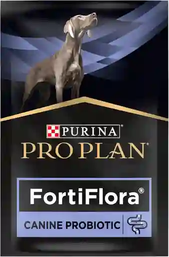 Fortiflora X Sobre Prebioticos Y Probioticos Para Perro Fortiflora Perros