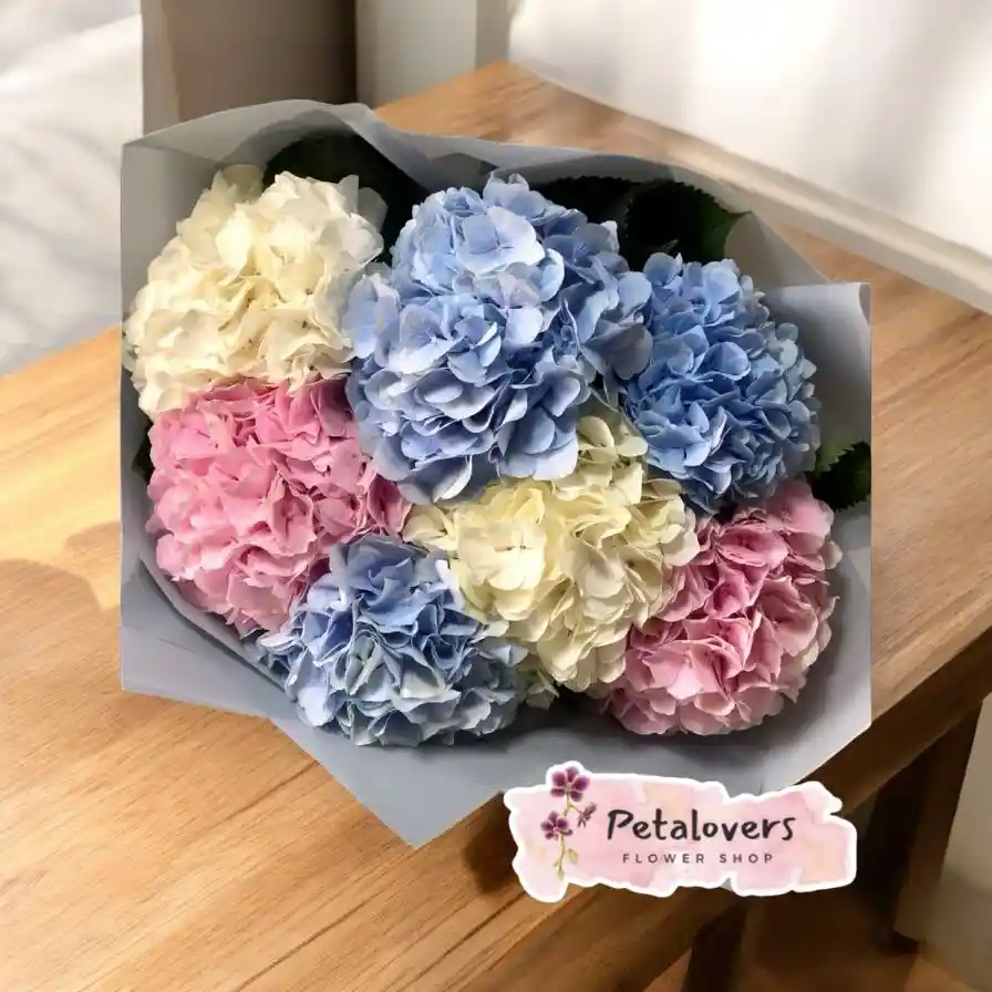 Flores Hortensias Surtidas 7 Unidades