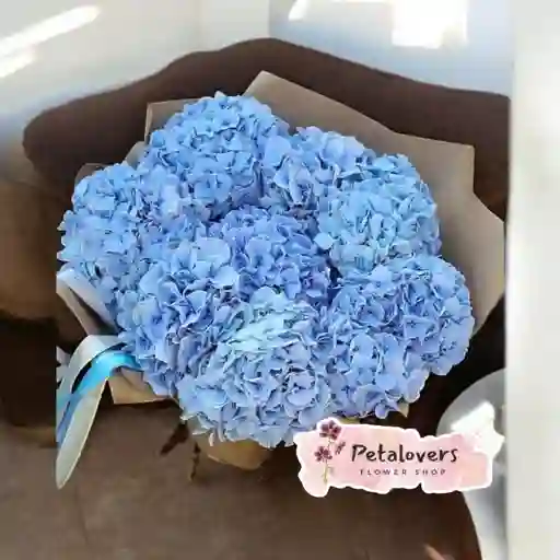 Flores Hortensias Azules