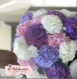 Flores Sinfonía De Hortensias