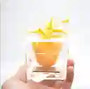 Rosa En Cubo