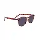 Gafas De Sol Lens Luxe Circle Tr3331 C86 P01 Polarizada
