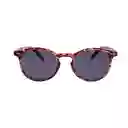 Gafas De Sol Lens Luxe Circle Tr3331 C86 P01 Polarizada