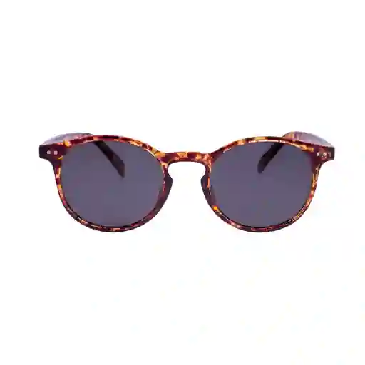 Gafas De Sol Lens Luxe Circle Tr3331 C86 P01 Polarizada