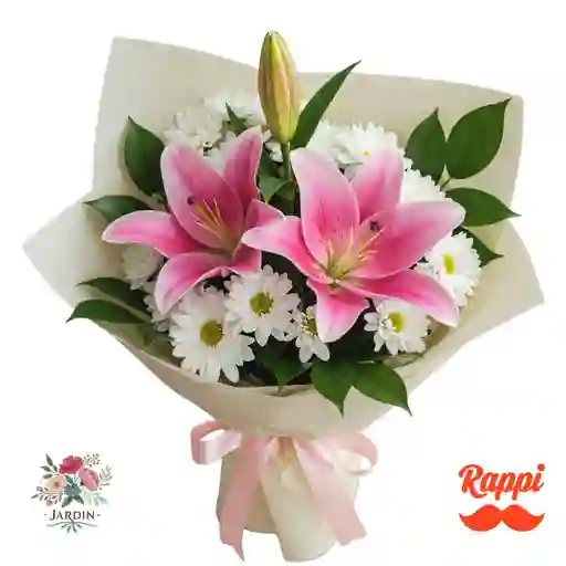 Susurro Rosa Y Blanco