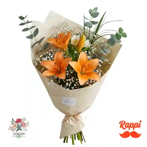 Elegancia Naranja
